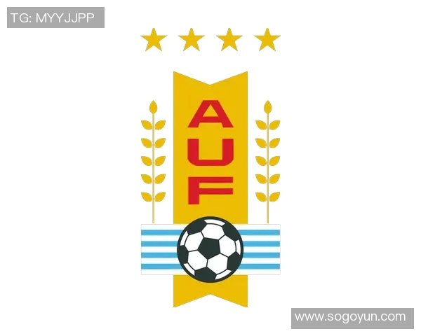 乌拉圭足球最新国际排名分析及未来发展趋势探讨